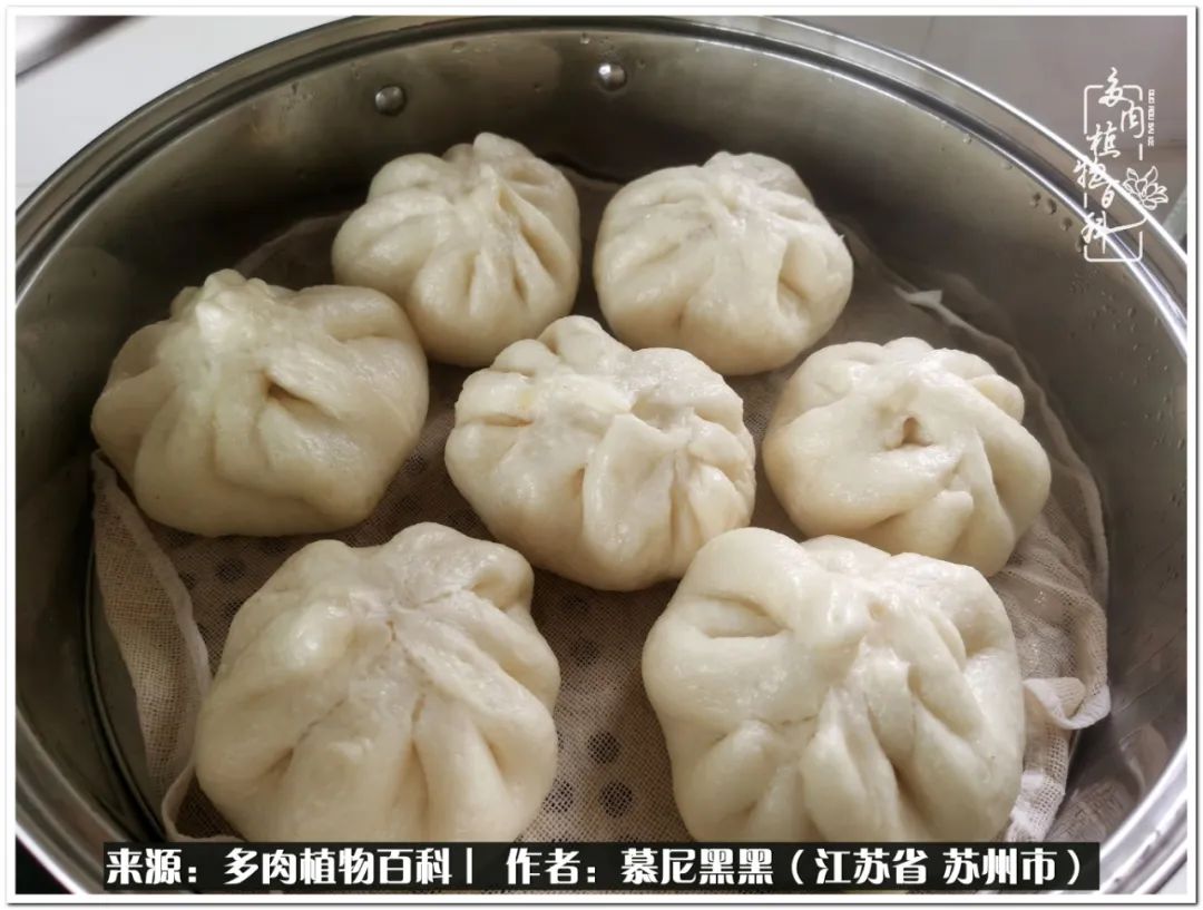 生活需要三分甜,生活需要一半禅意一半烟火