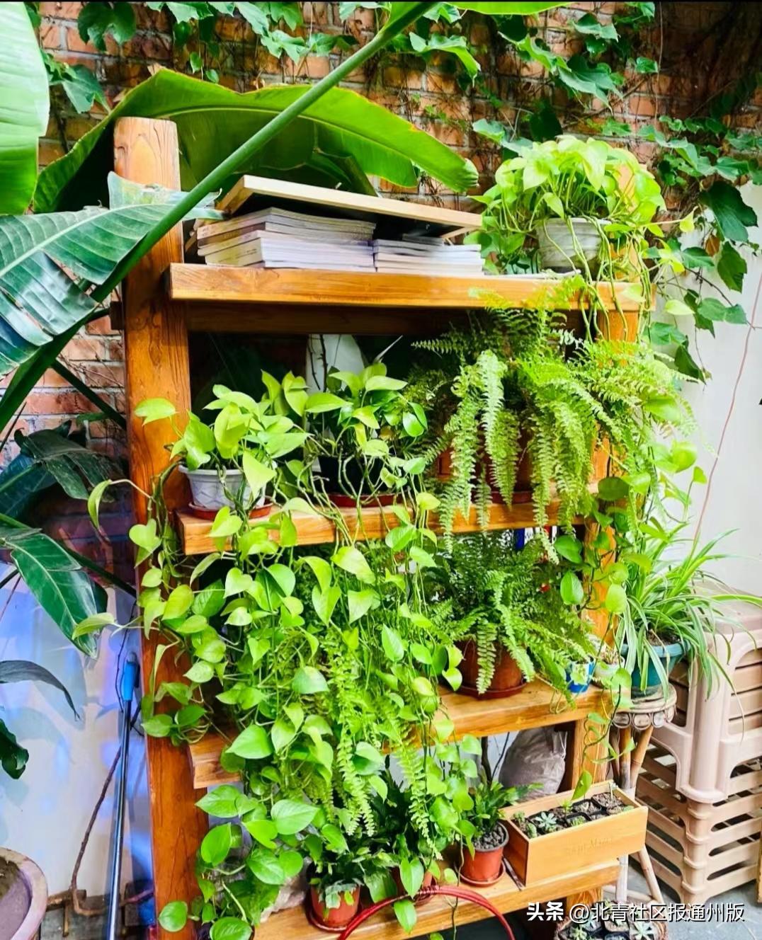 通州宋庄十大美食,通州宋庄艺术区美食