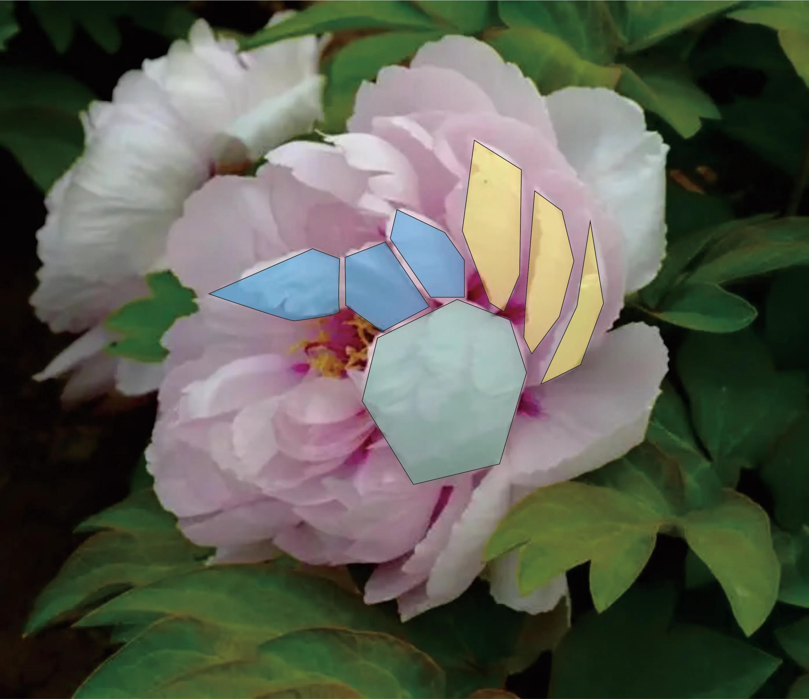 画侧面的两种方法,画准确线稿