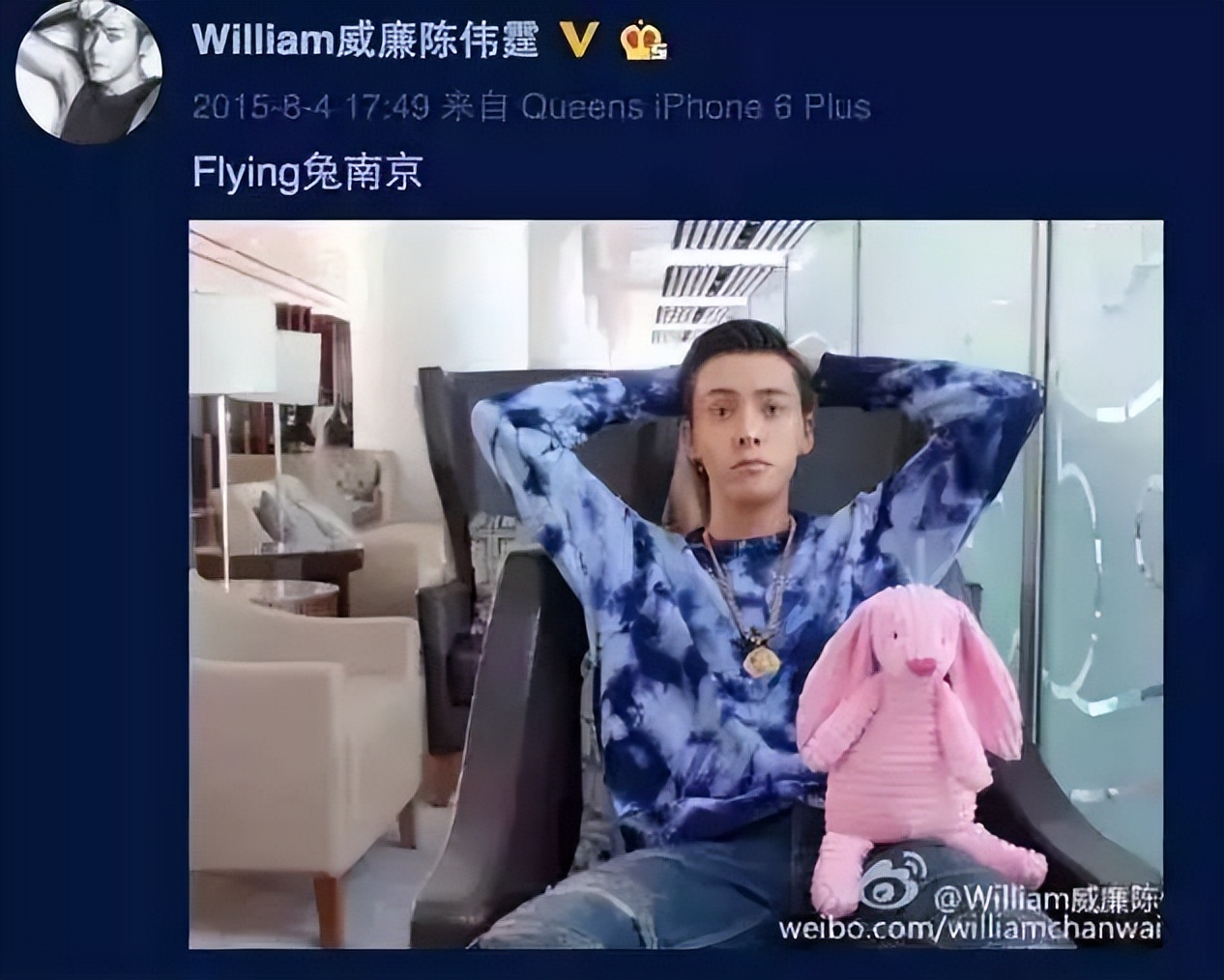 这只来自英国的兔子，简直让明星们爱惨了！