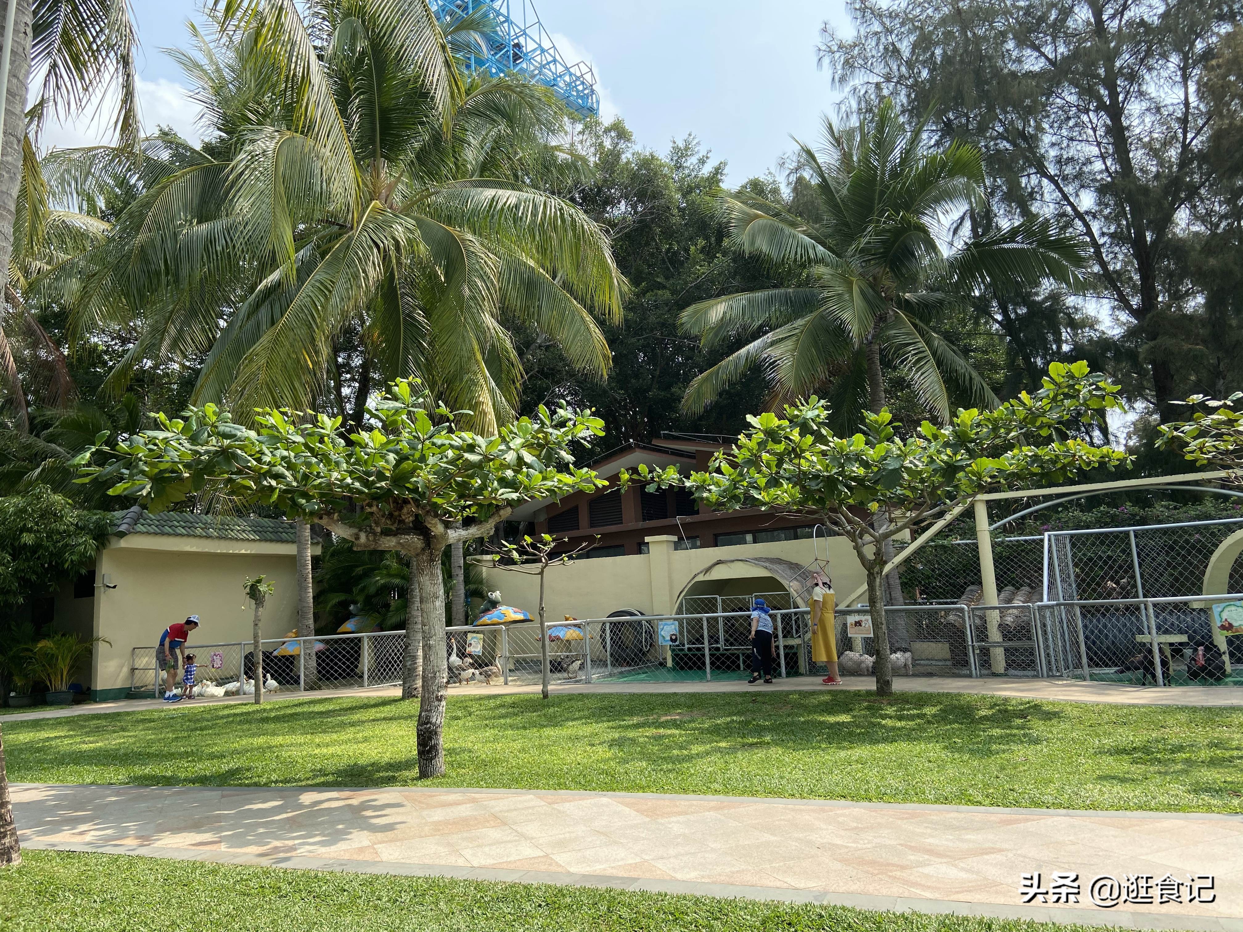 三亚亲子游亚龙湾天域酒店,亚龙湾天域和亚龙湾红树林