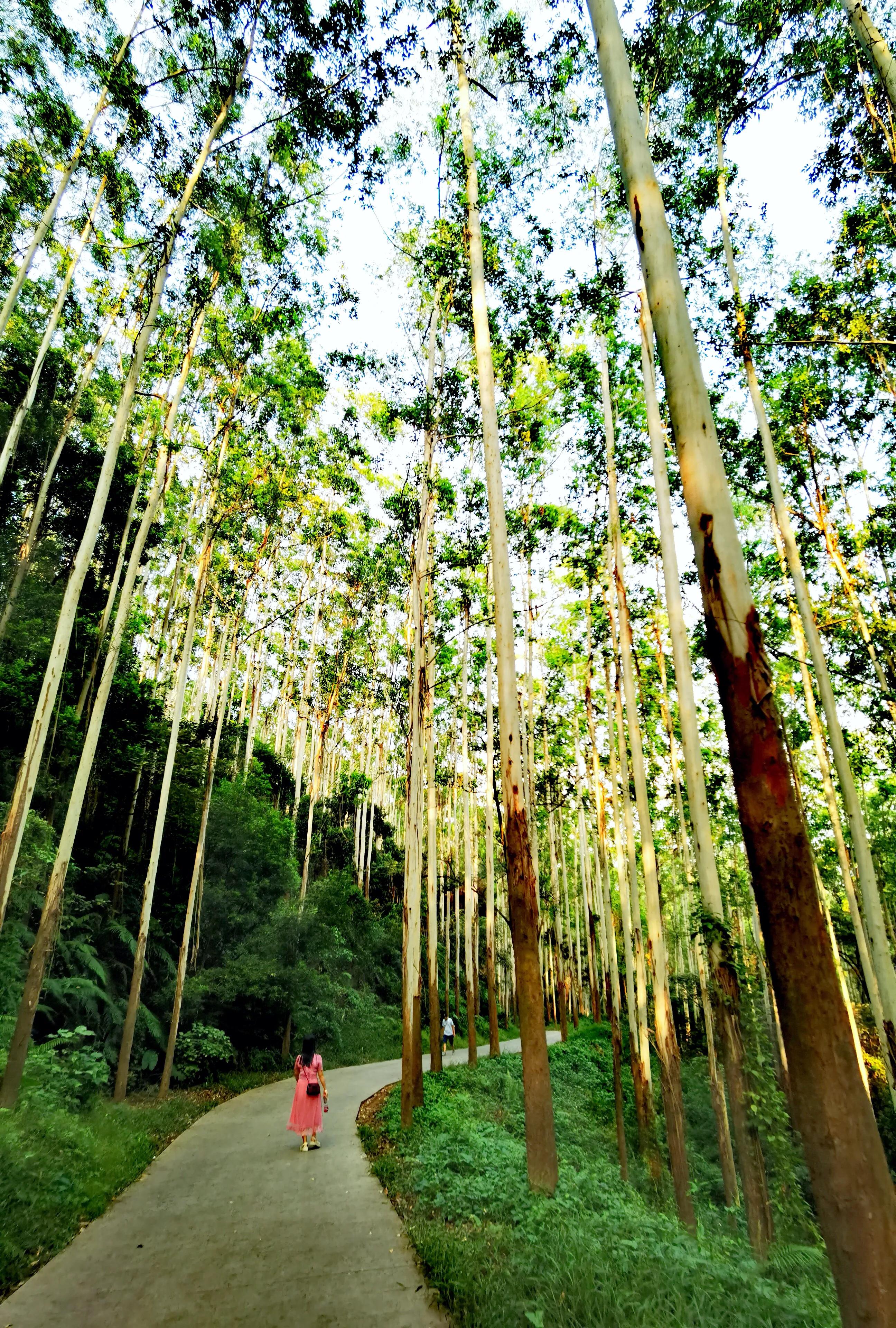 手拍世界手机摄影平台,手拍世界摄影网