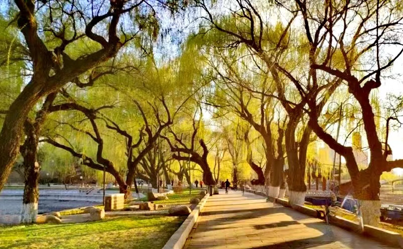 沈阳旅游必去十大景点目录,沈阳旅游攻略必去十大景点