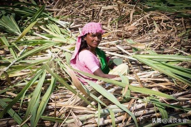 19年记者收集一大证据，揭露印度女性为满足老板，全部被“阉割”