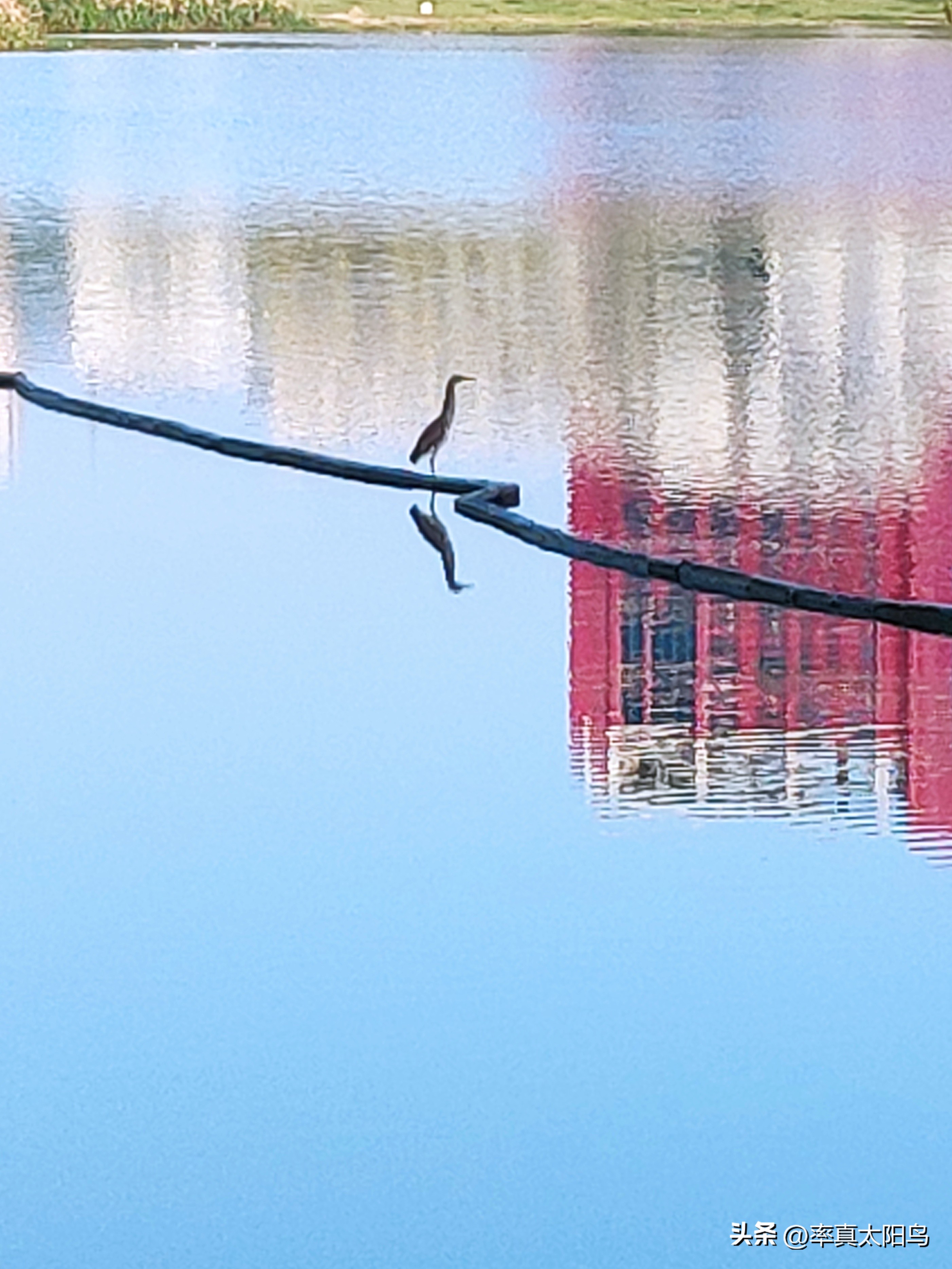 秋水之韵文章,秋水之韵抖音