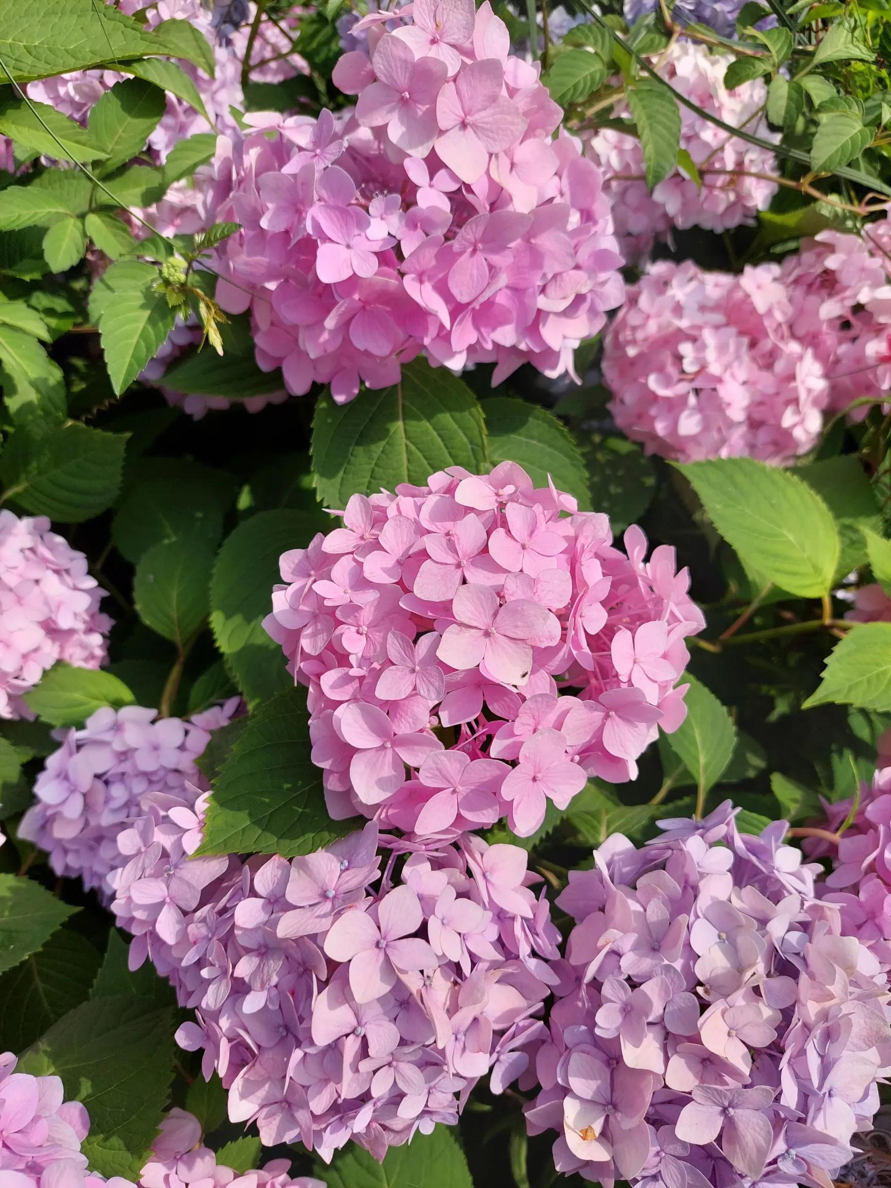 努力决定你的职业,努力是一种态度与职业无关