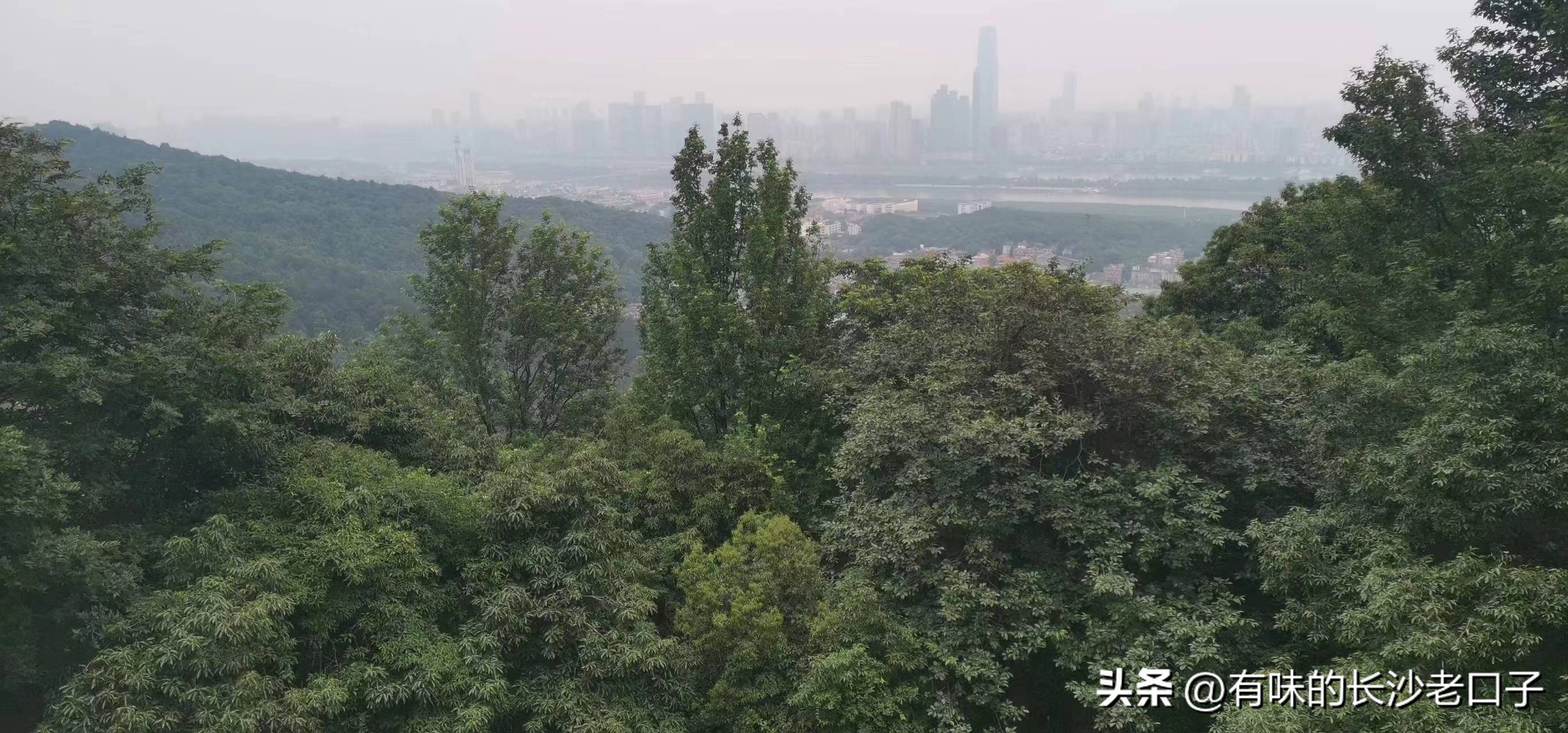 岳麓山的云麓宫能看到日出吗,岳麓山云麓宫地图