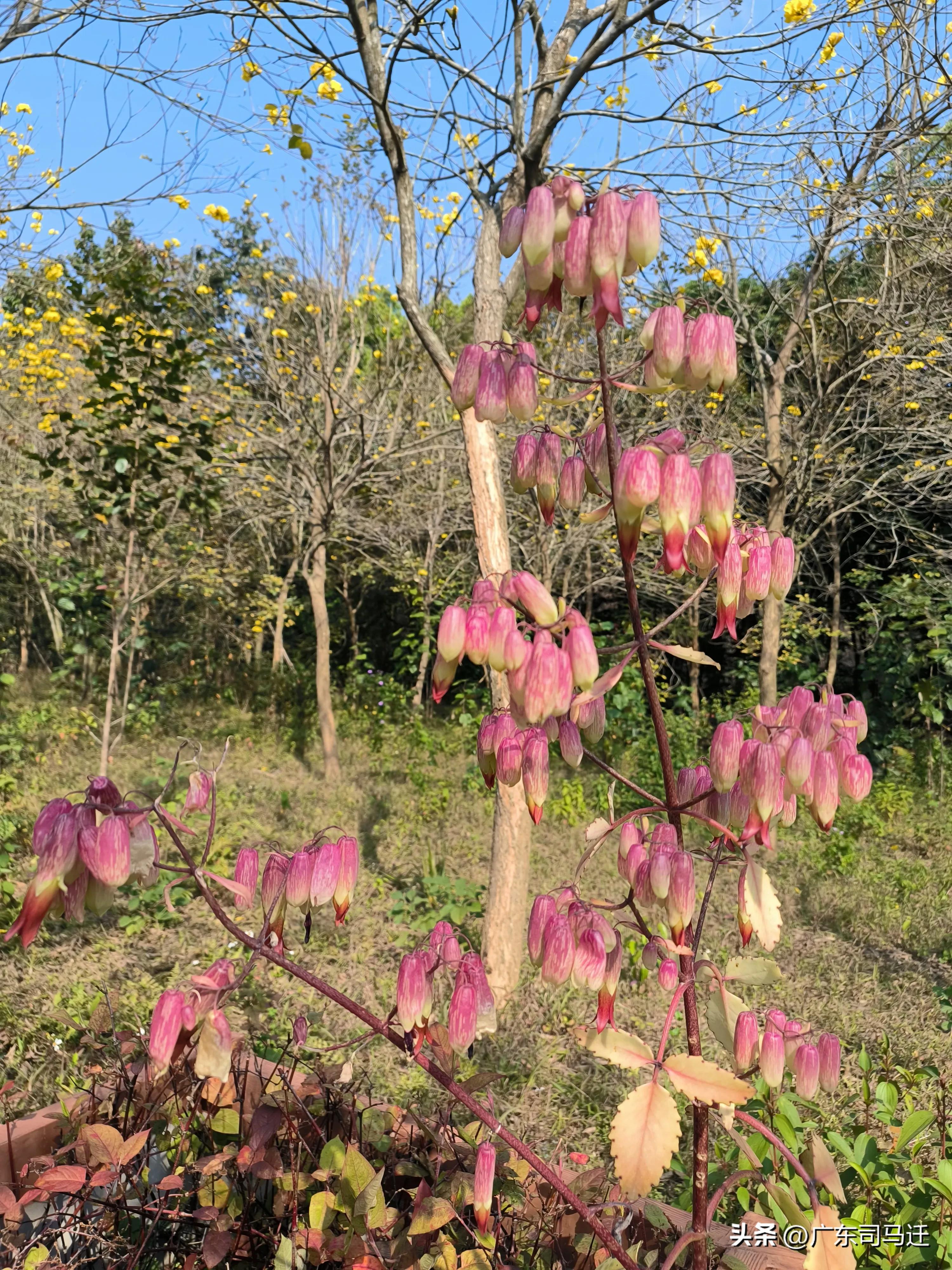 好玩的中山公园,中山公园这儿真美