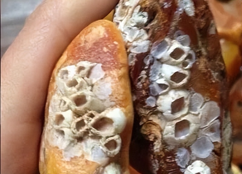 蜜蜡琥珀和蜜蜡有什么区别,千年蜜蜡万年红