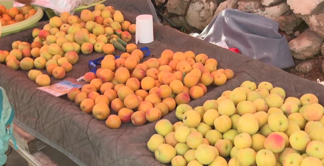 鹿泉丰收,致富路上瓜果飘香花盛开