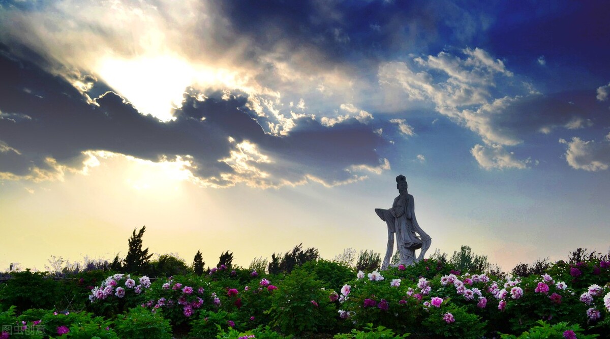 错把芍药当牡丹，亦有诗情美翻天