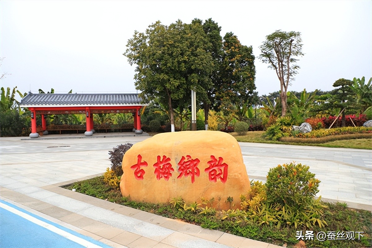 东莞市麻涌镇经济崛起,麻涌镇各村经济排名