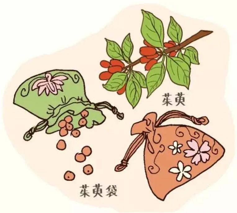 一年一度重阳尊老敬老日,又是一年重阳节尊老敬老情意浓