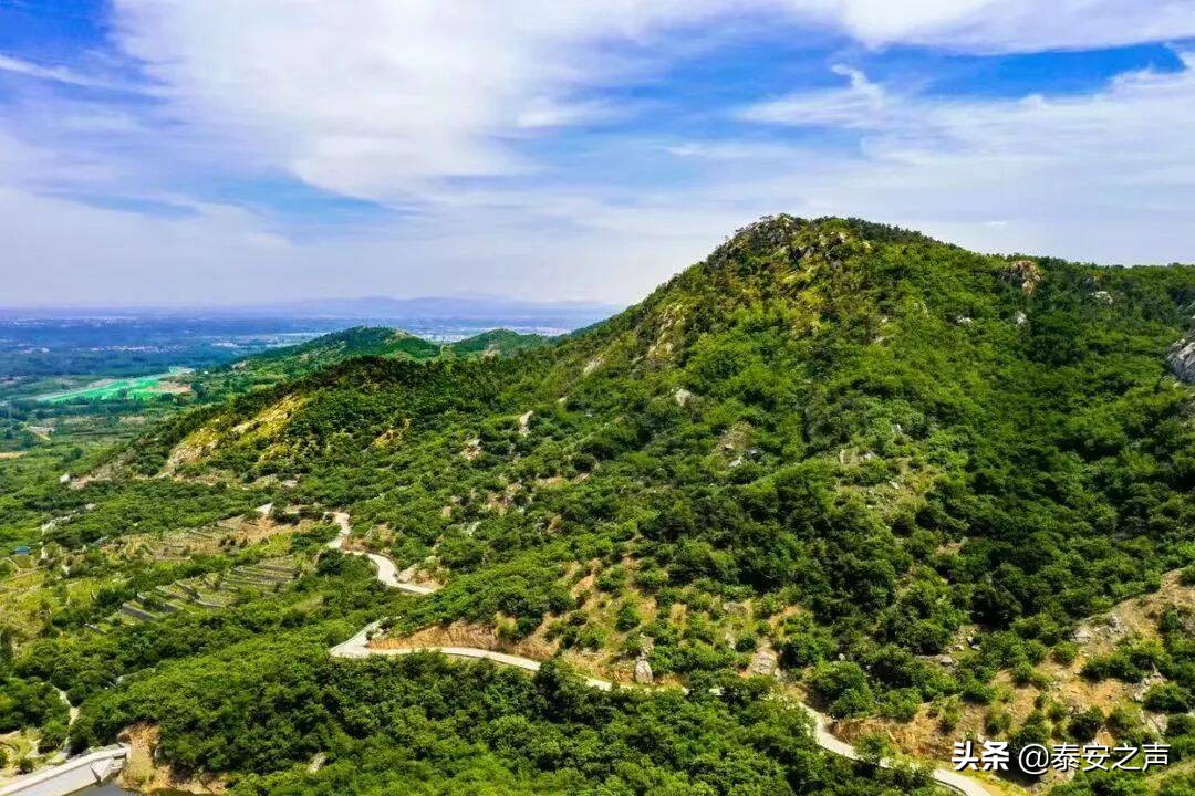 山口镇新型工业化园区,岱岳区山口镇建设