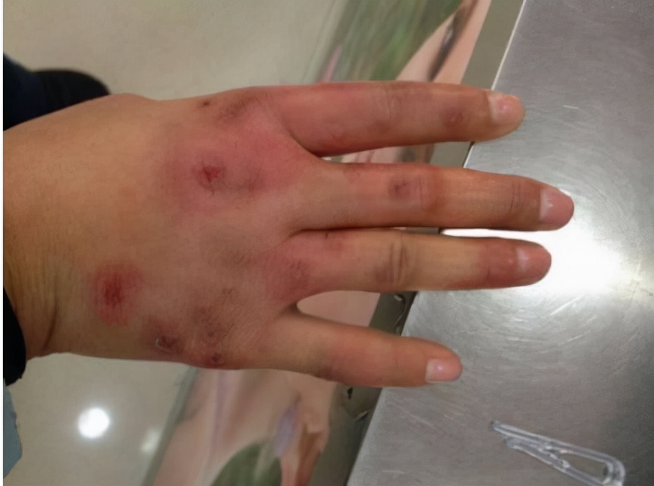 山东男子创办生姜加工厂,男子种植生姜带头致富