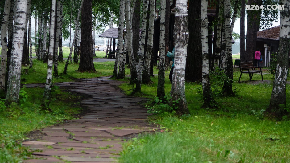 俄罗斯旅行记完整视频,俄罗斯行摄