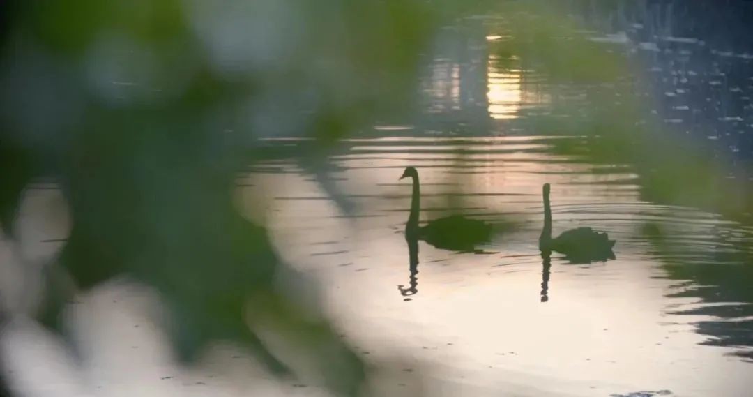 美美美，在阳光灿烂的成电遇见你~