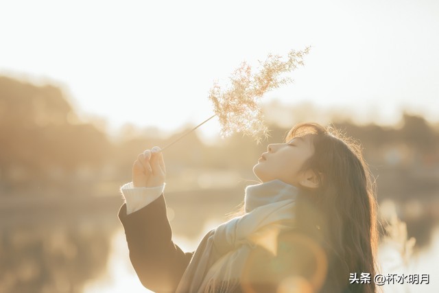 妈宝男把工资给婆婆怎么治,妈宝男把工资交给妈妈老婆要离婚