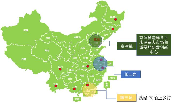 全国哪里的玉米最多最便宜,哪儿的玉米最好