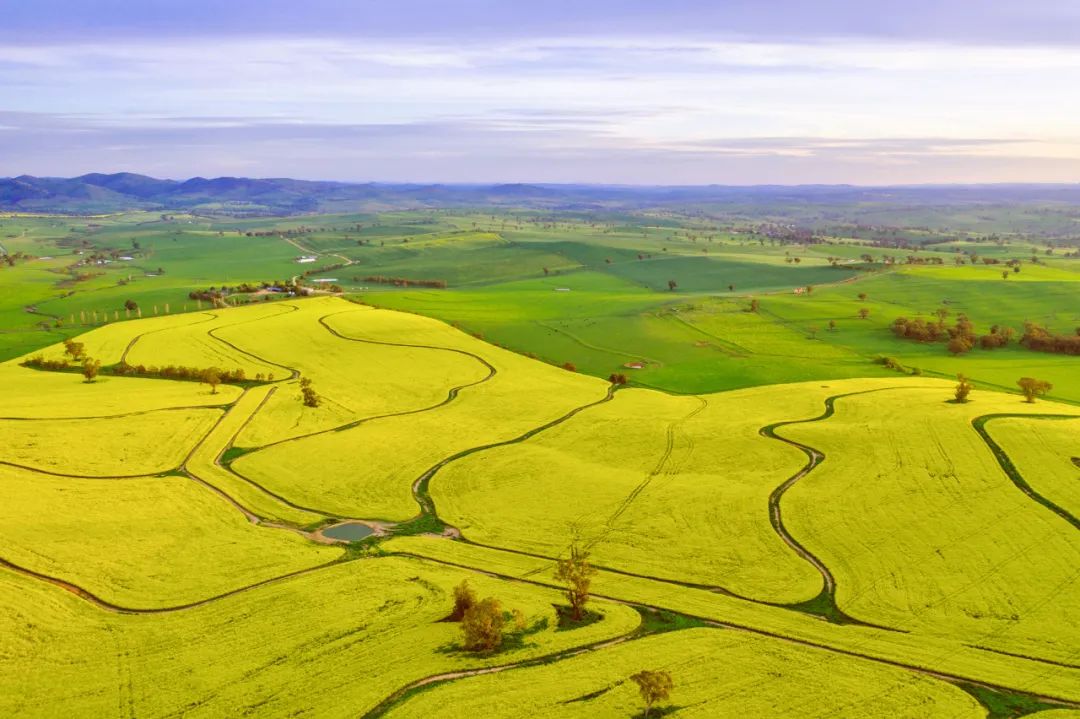 中国人能去做的国外高薪工作,境外高薪工作的真实经历