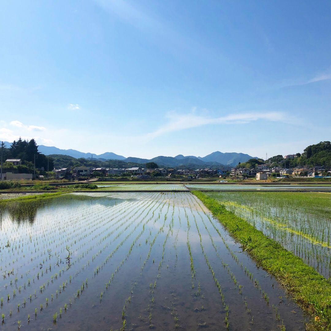 幼儿园的理念对孩子的重要性,幼儿园存在的意义是什么呢