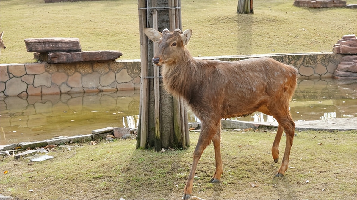 在江苏的“绿林仙海”中，寻找侠气与柔情