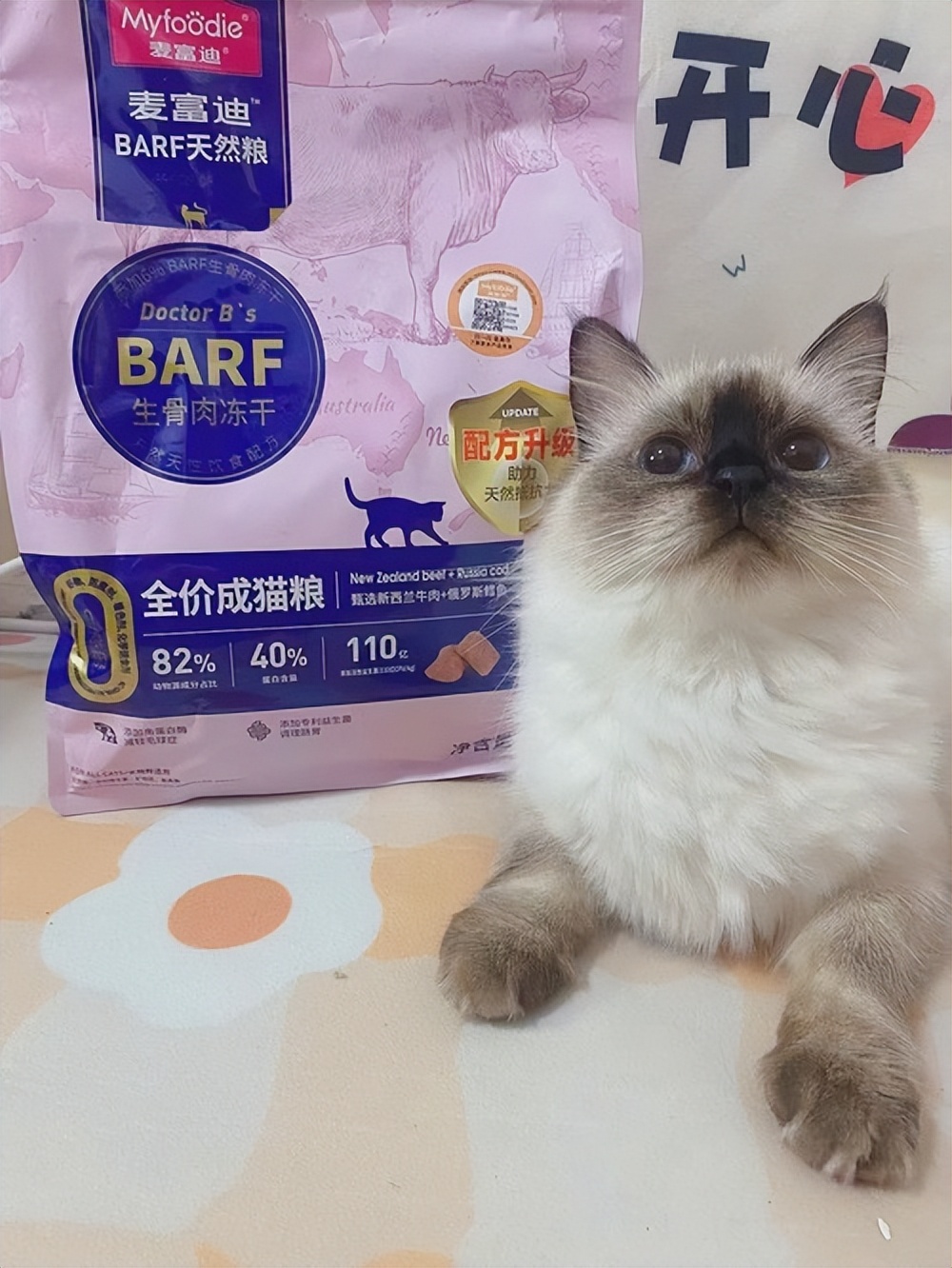 猫咪吃得少瘦了但精神好,猫咪体内有虫会吃得少吗