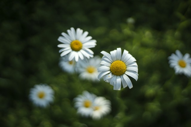 大姨妈量少怎么办,大姨妈来了怎么缓解疼痛