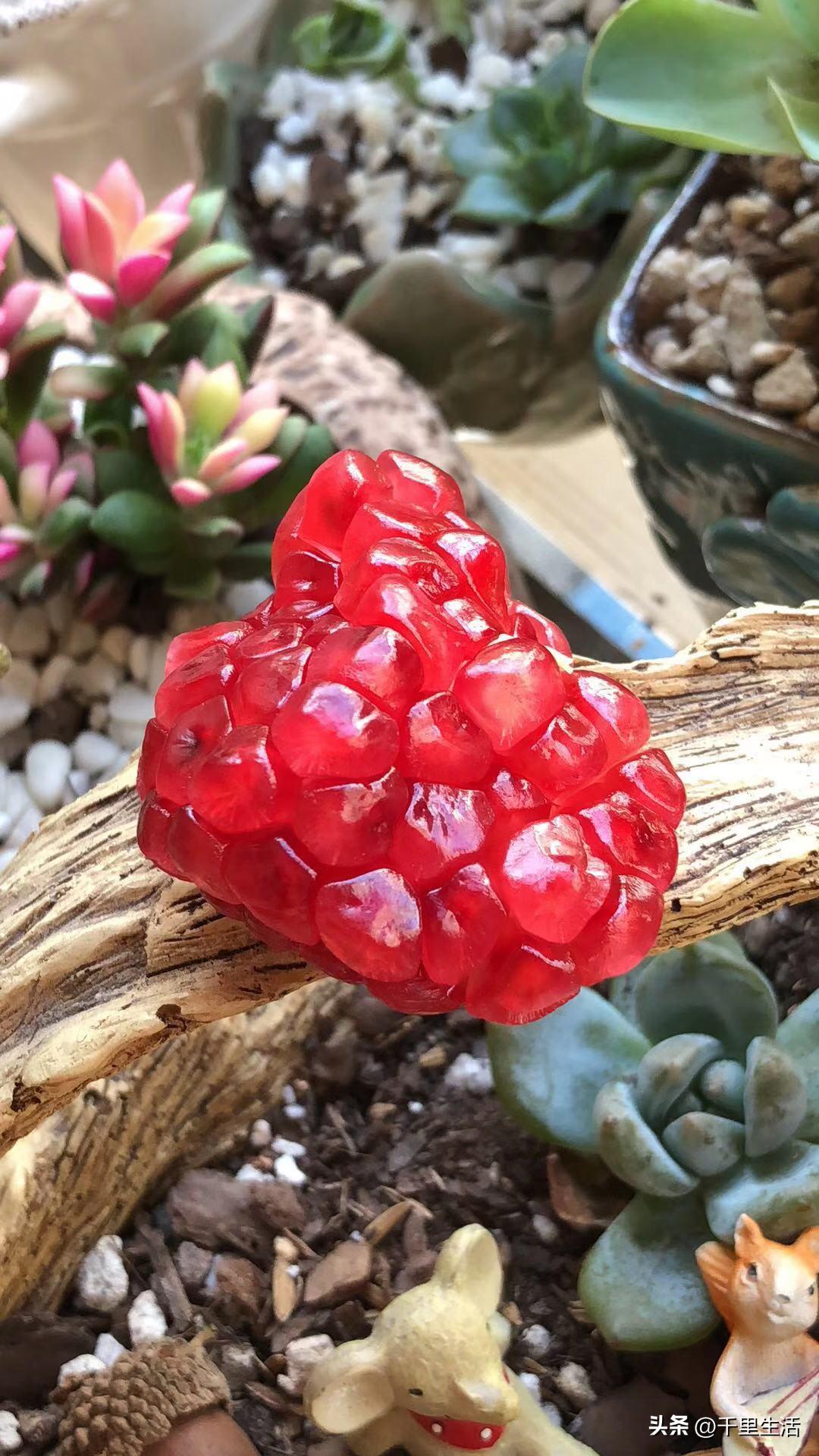 突尼斯软籽石榴和河阴石榴的区别,正宗原产地突尼斯第一名软籽石榴