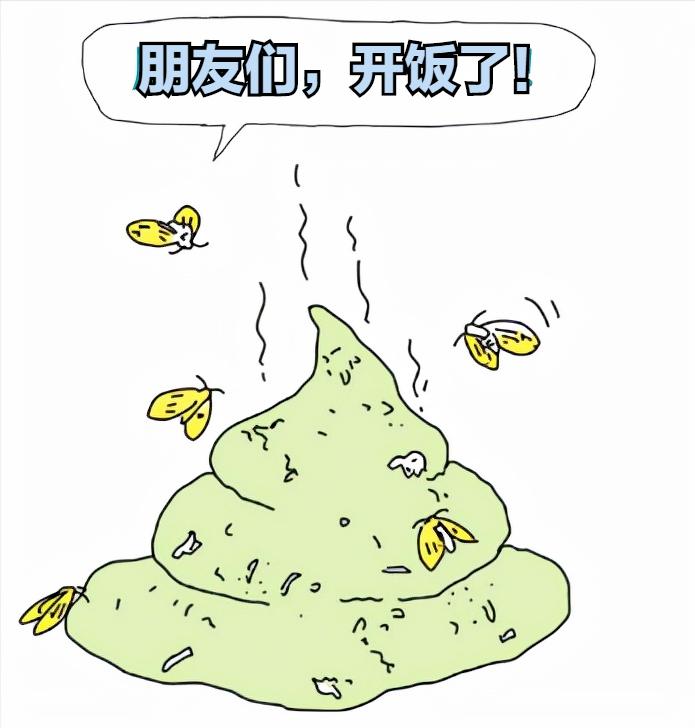 春天了家里好多虫子怎么办,春天来了家里有很多小虫怎么办