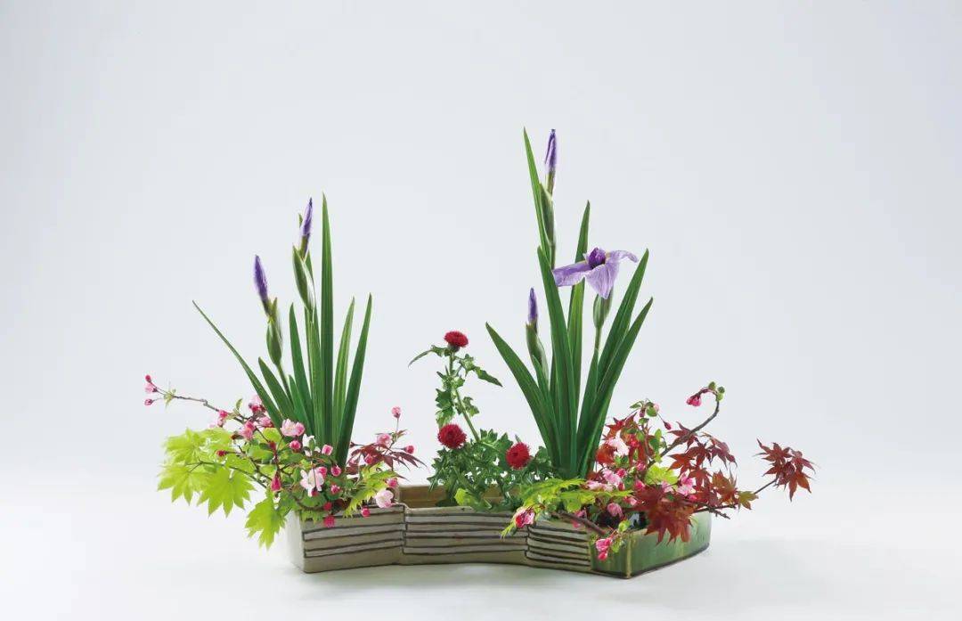 日式插花小原流花道,日式插花的13个基本技巧