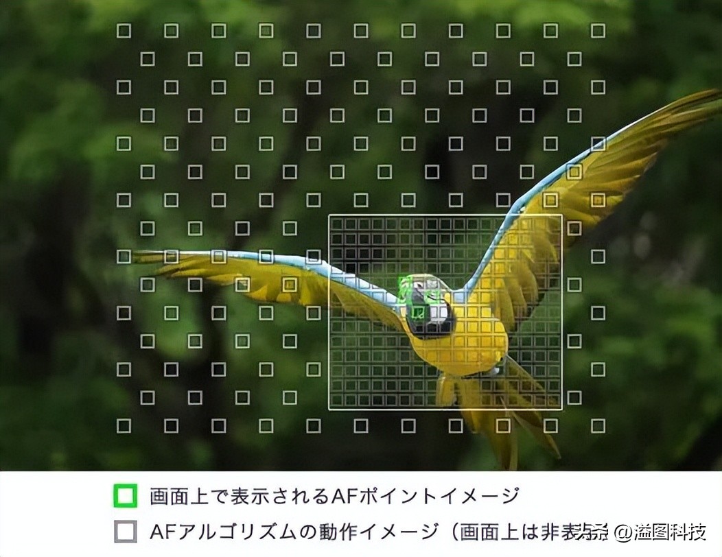 黑卡卡片相机推荐,值得入手的几款卡片相机