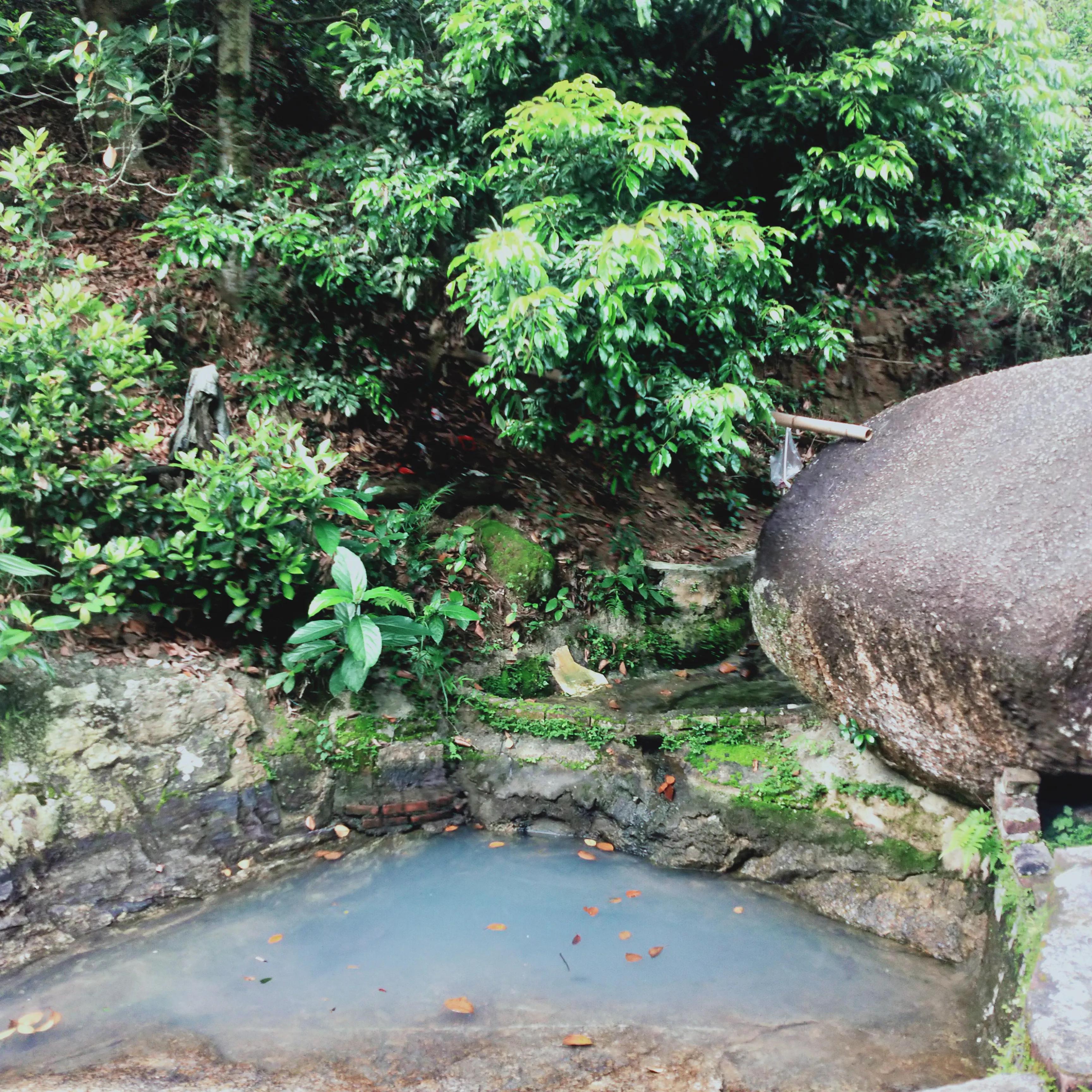 老人的生活简单,老人的生活