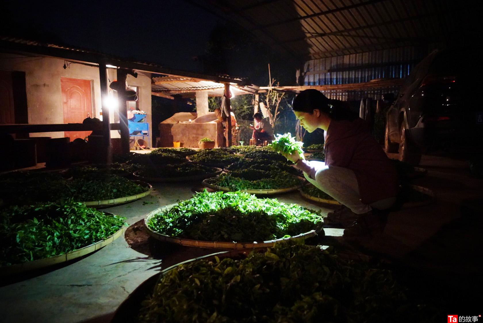 中茶黑茶哪款最好喝,黑茶好还是铁观音茶好