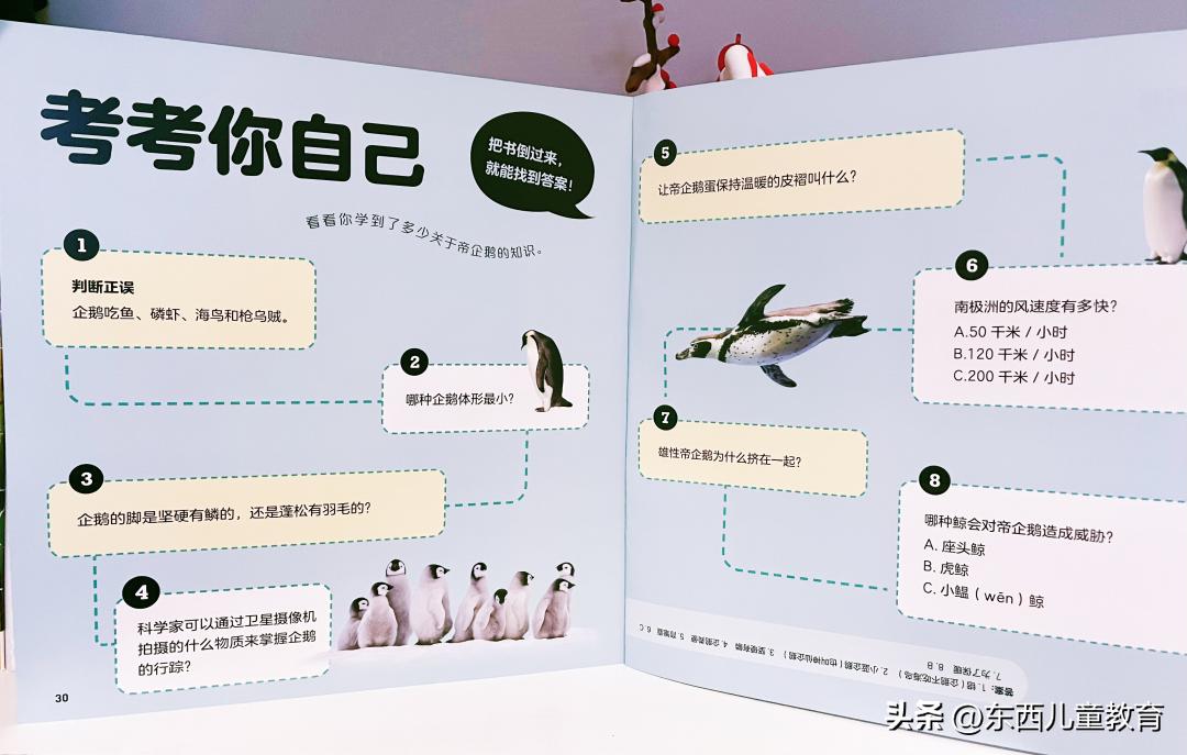 法布尔昆虫记立体书适合3-6岁儿童,法布尔昆虫记青少版必读