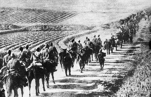 日本兵偏爱吃鸡！1937年*京大南***杀屠**中的荒唐一幕，家中有鸡能救命