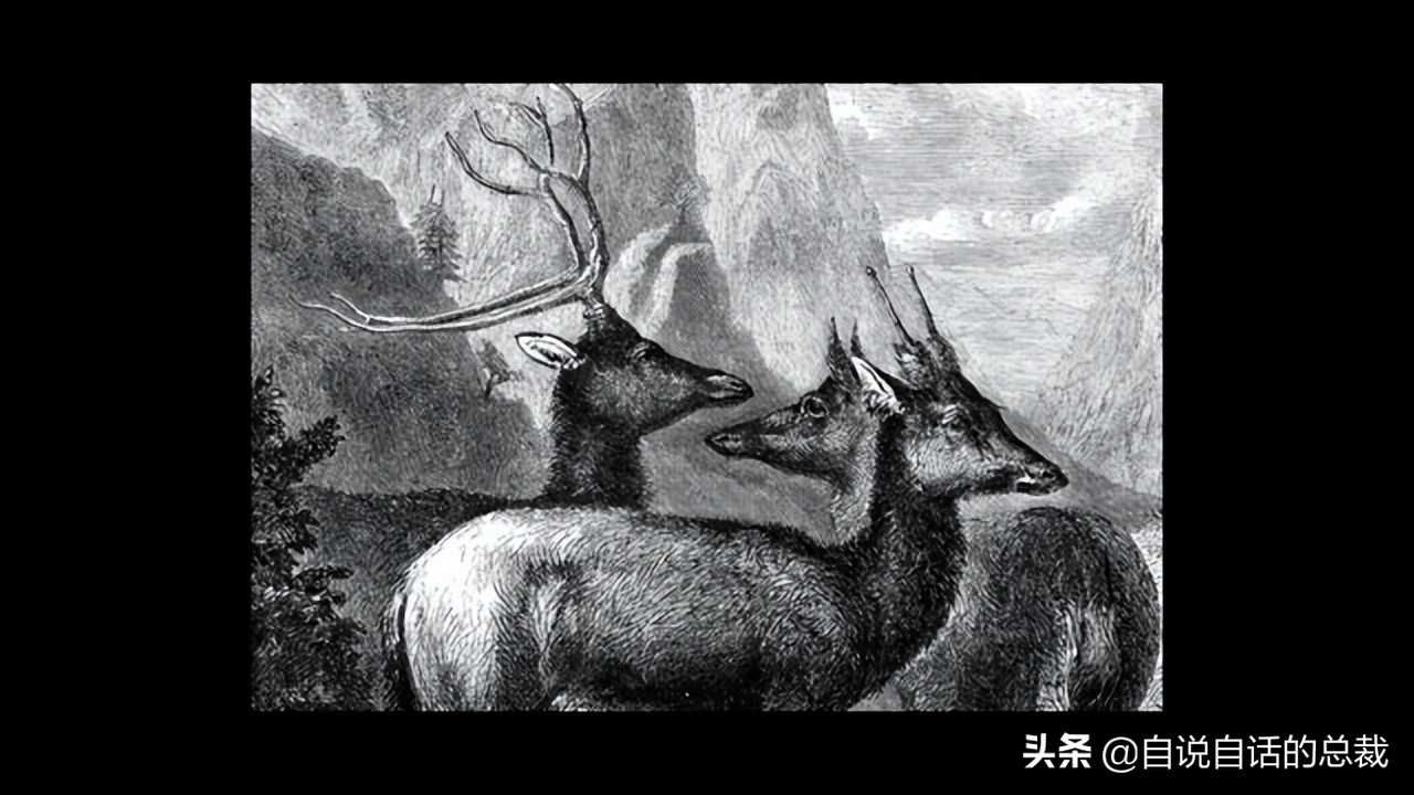 超级血液代表着什么,超级血液是啥