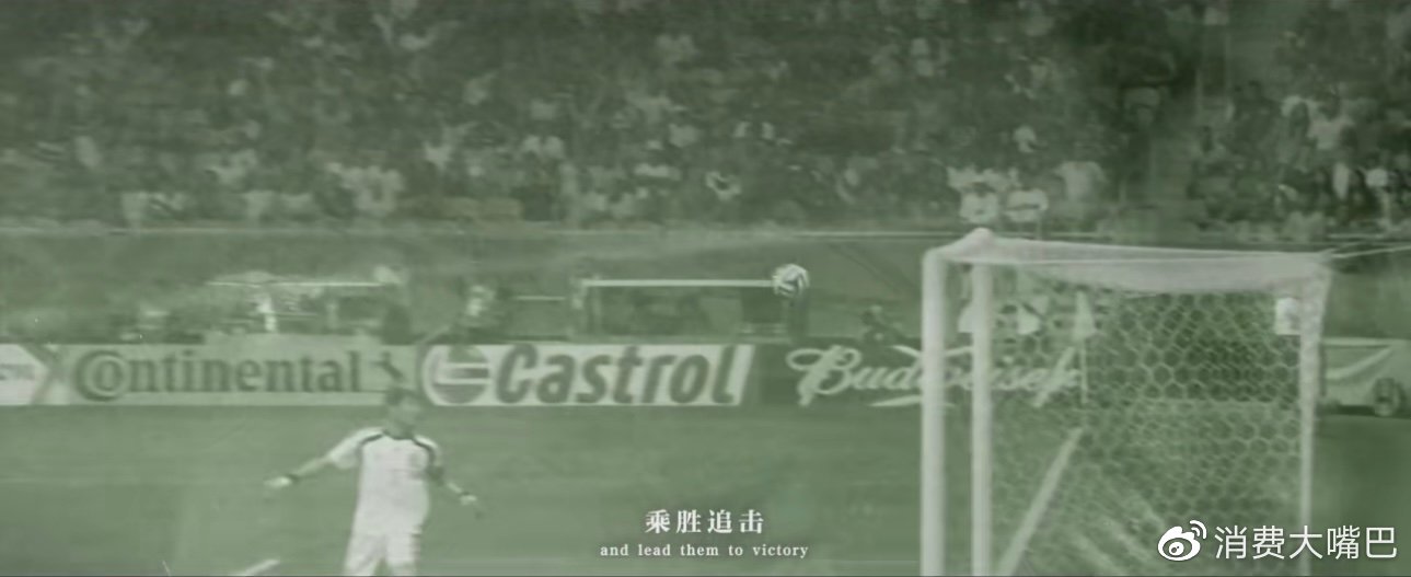 卡塔尔世界杯中国足球队在干嘛,卡塔尔世界杯中国足球队去了吗