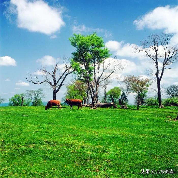 蔚蓝的天空清澈的河水,蔚蓝的天空碧绿的海水图片
