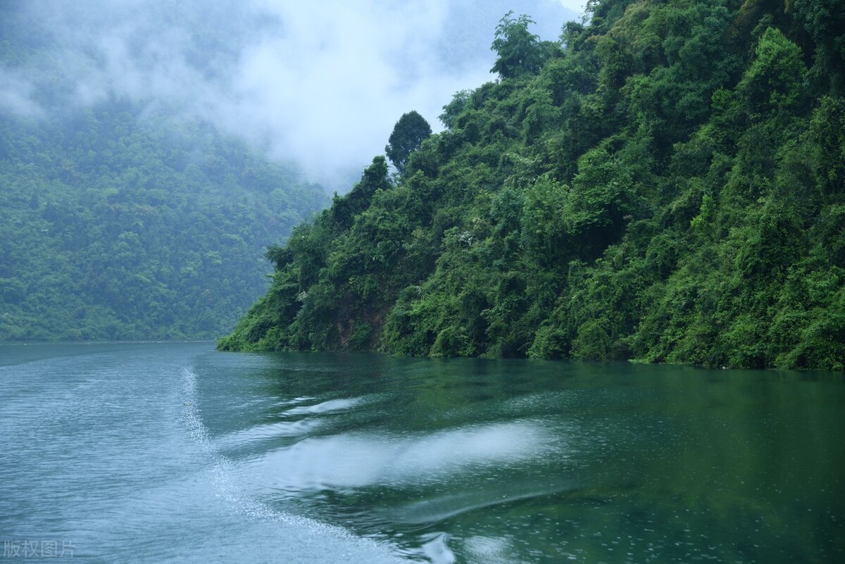 陆玉梅壬寅春日诗词/春在城南芳草路，人来陇上杏花天