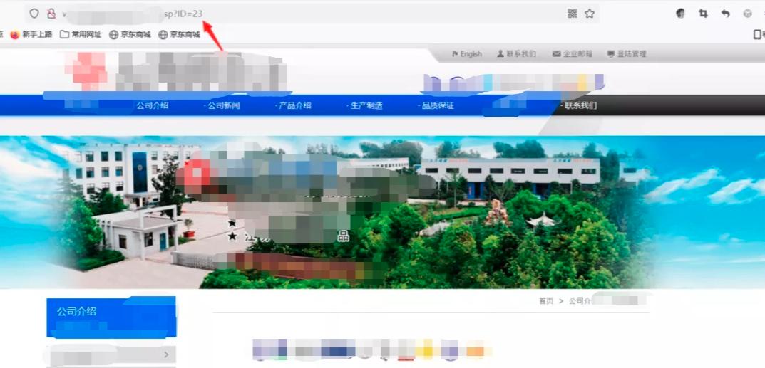 渗透测试中的漏洞挖掘与利用技术,渗透测试全套教程从原理到实战