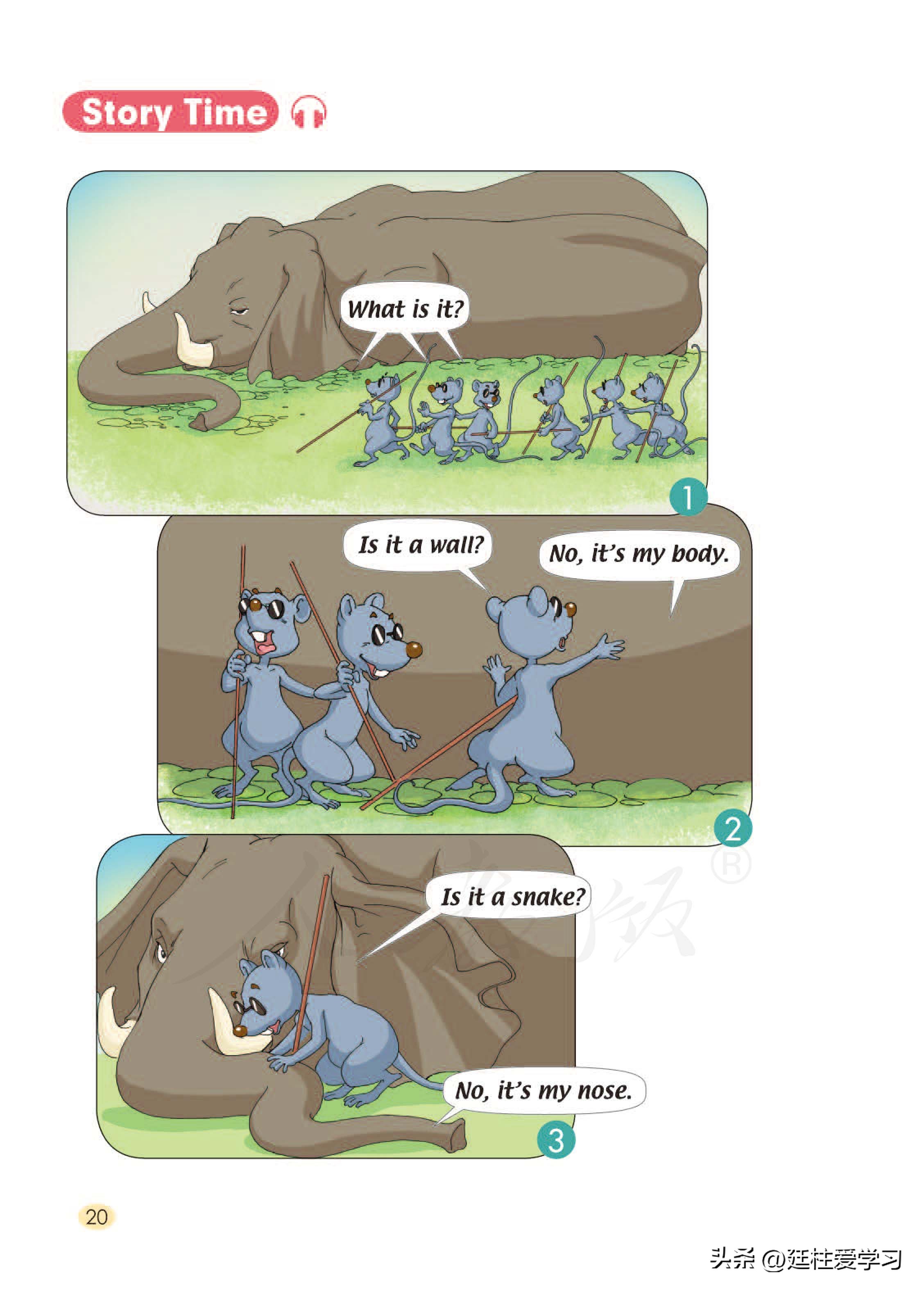 小学英语外研版三年级上册,小学英语精通版三年级上册