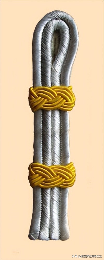 二战德国军官学历,二战德国上将级军官