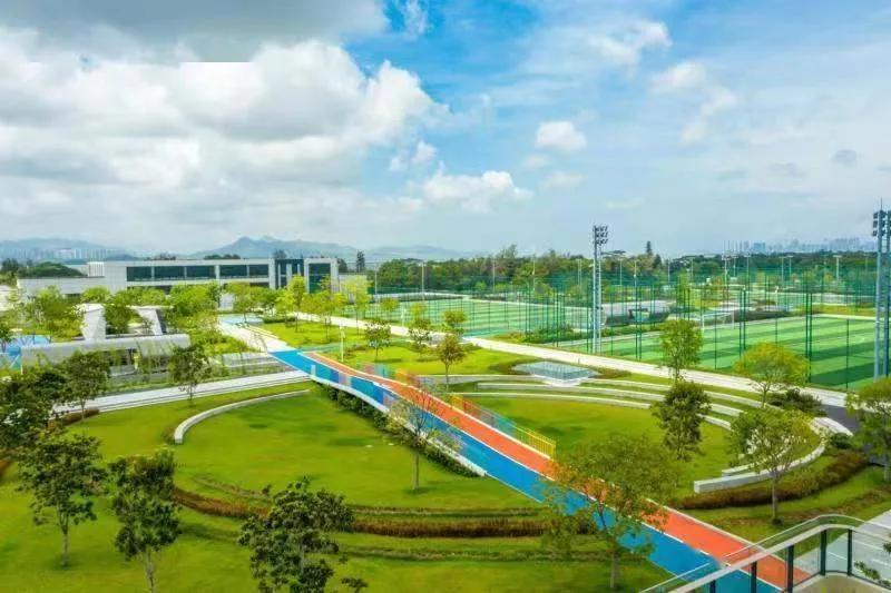 谈足球综艺,谈足球的小姐姐