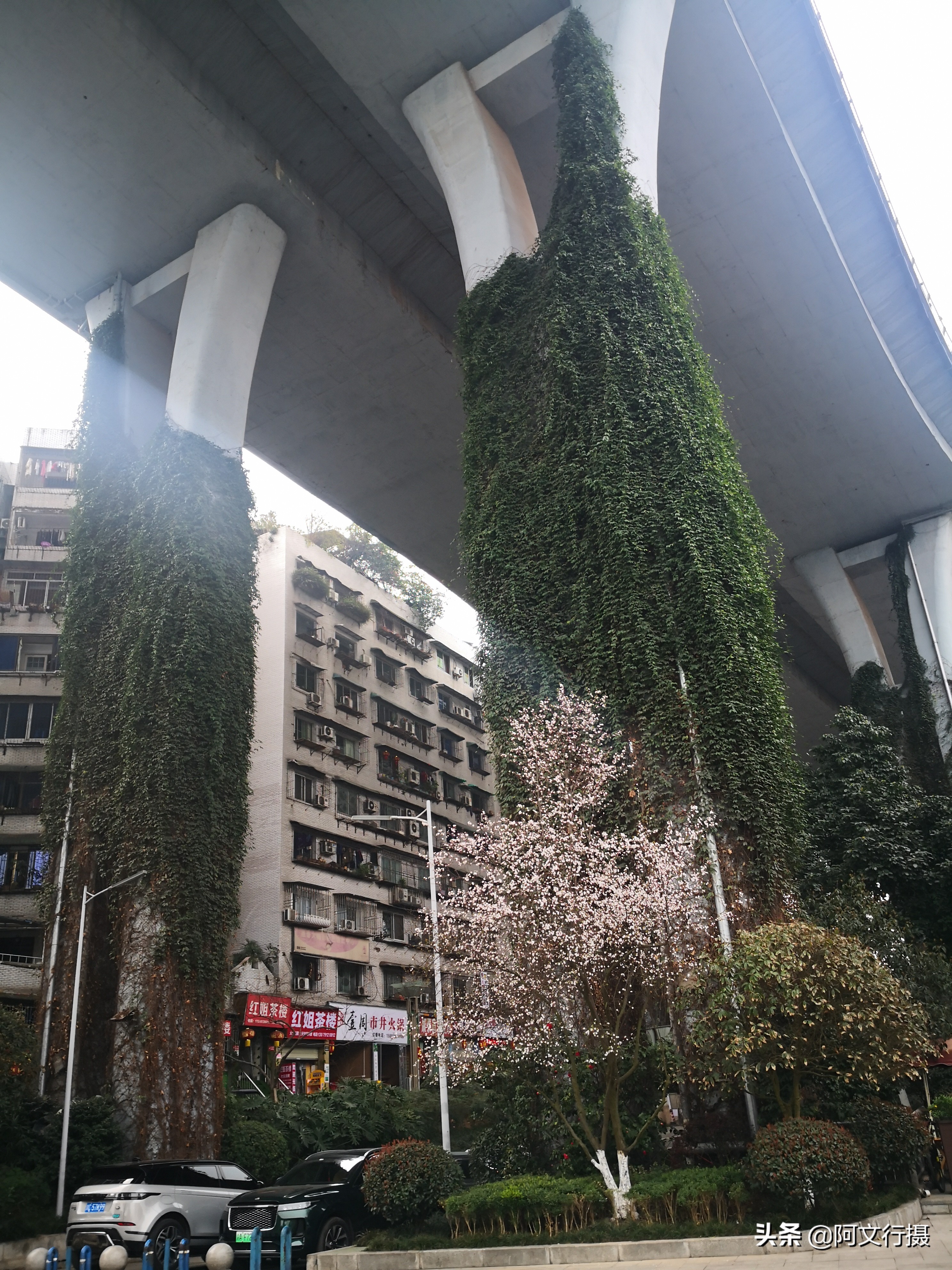 自驾游蜀南竹海一日游攻略,蜀南竹海自驾游旅游攻略图