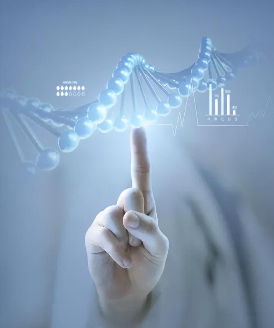 拼多多是不是*局骗**？董事长为何辞任？带你来看拼多多的送钱之路