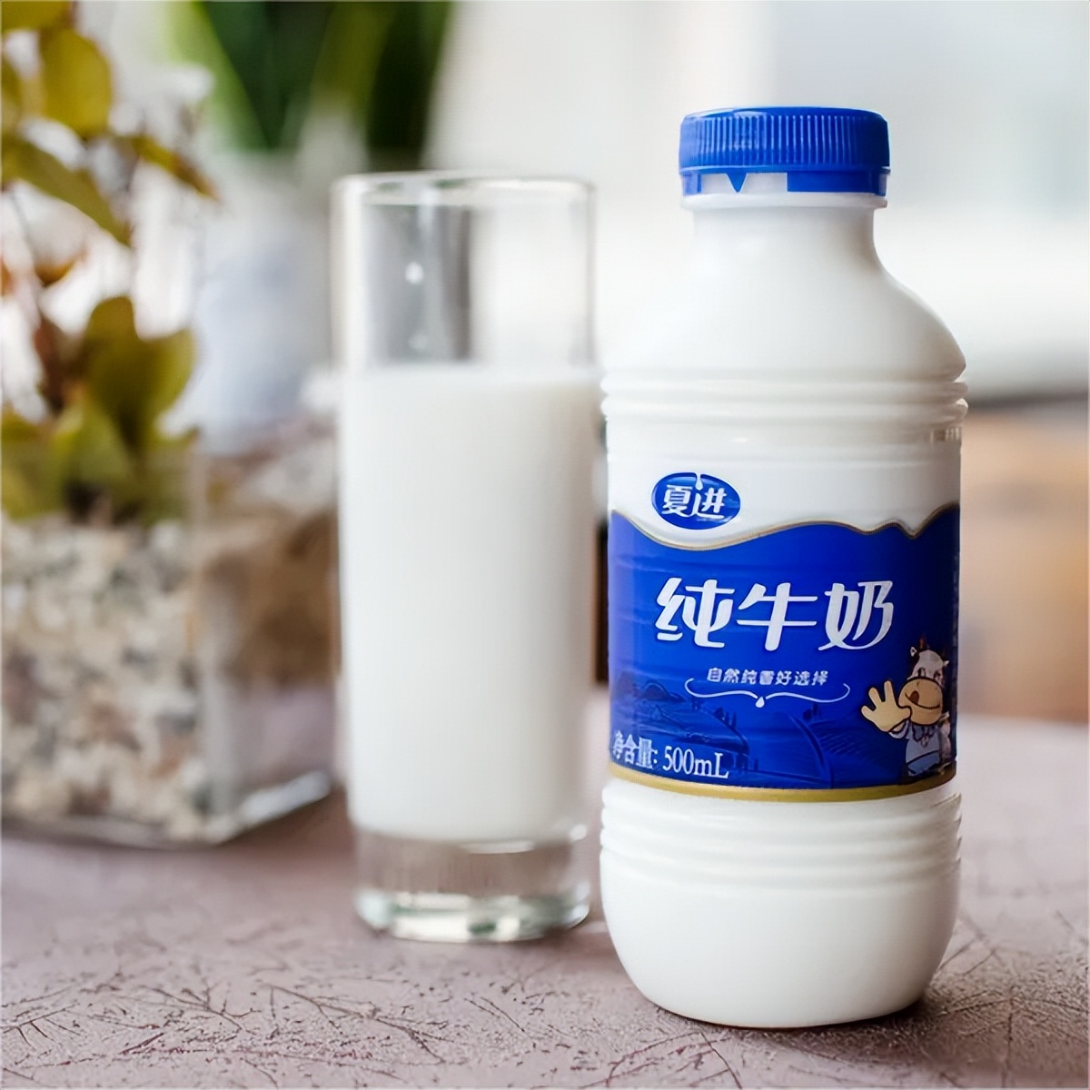 最好喝牛奶排名最新前十名,中国最好喝的牛奶在哪里