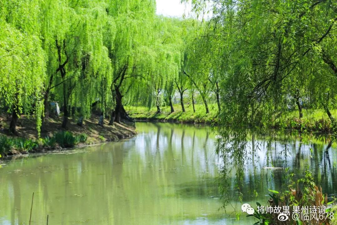 《将帅故里——果州诗词》第6期