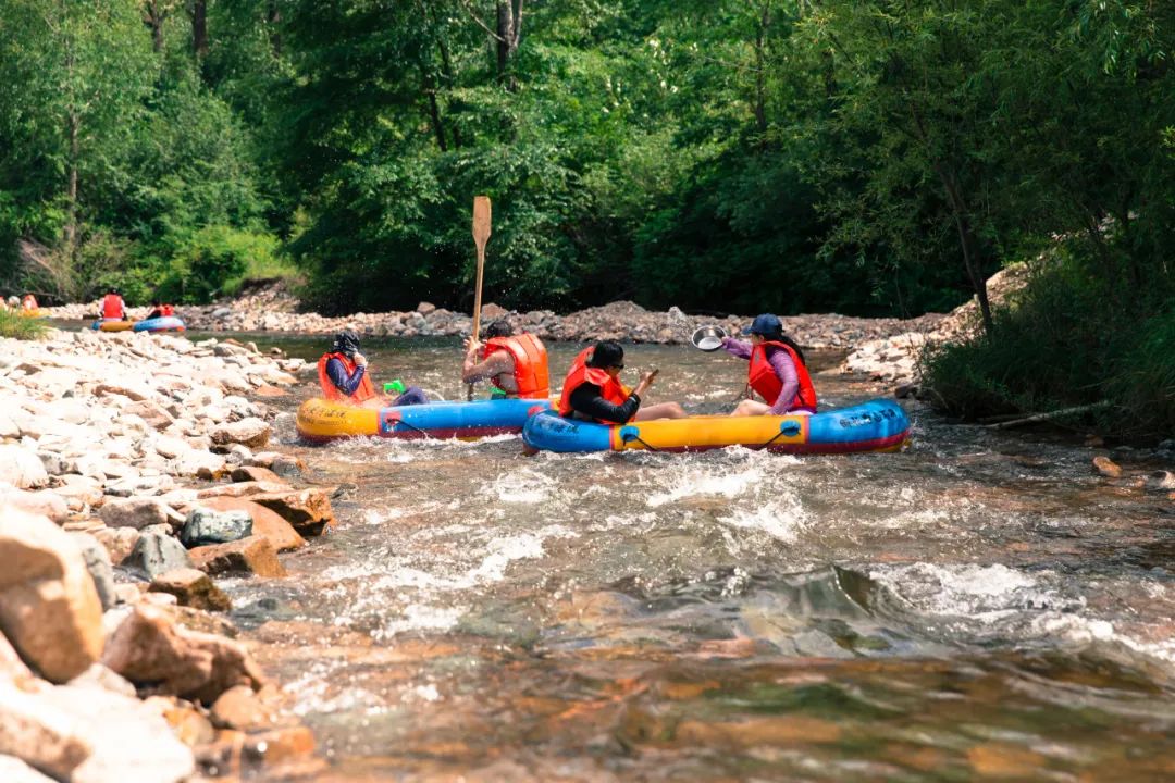 2023已过半文案,2023已过半