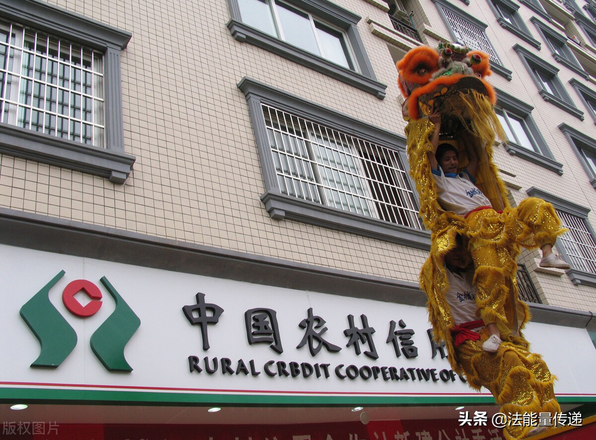 农村集体经济合作组织成员股权证,农村集体经济组织股权证查询